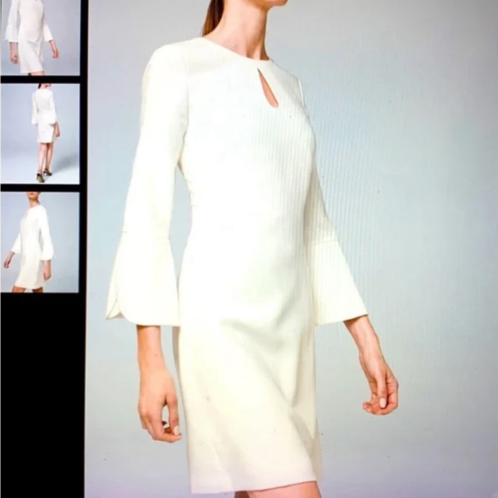 White House Black Market Petal Sleeve Ivory Shift Dress 6